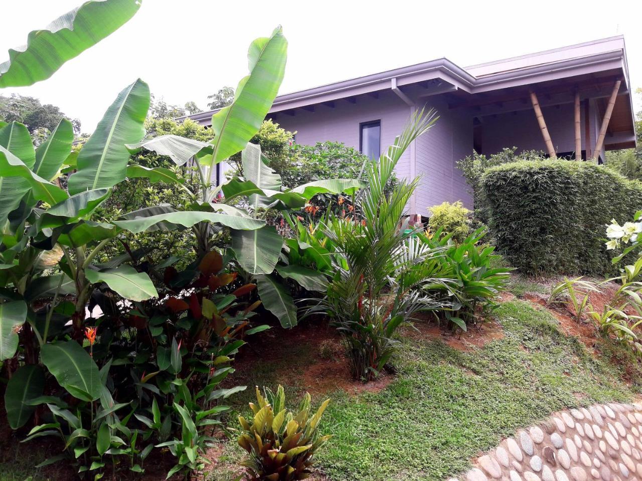 Bed and breakfast Eden Tica Uvita