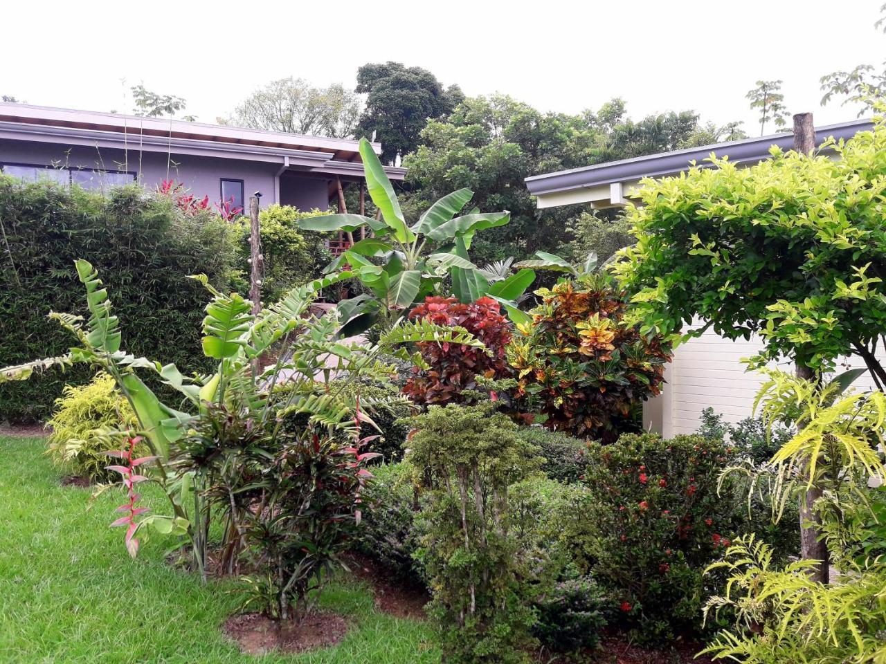 Eden Tica Bed and breakfast
